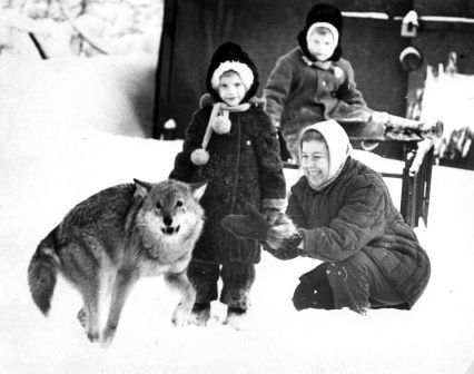 Паша и Маша Соснины с мамой и полуторагодовалой волчицей Чушкой. 14 декабря 1998 года